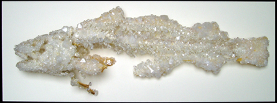 Ackroyd and Harvey, Crystal Fish, 2005, 86cm x 31cm x 19cm, alum sulphate, (in perspex case)